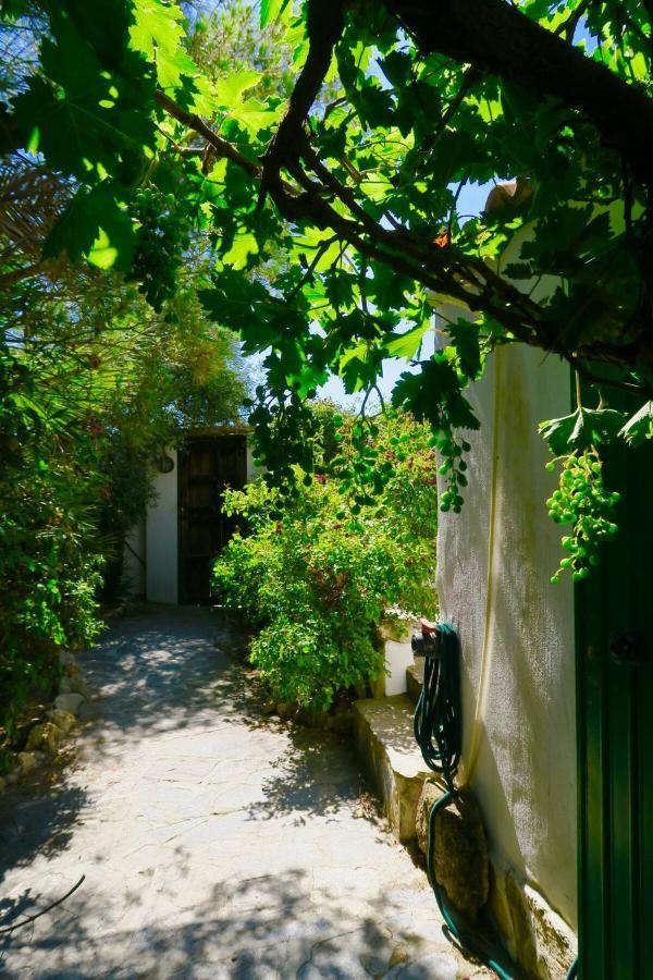Cortijo Paraiso Charcon Higuera 외부 사진