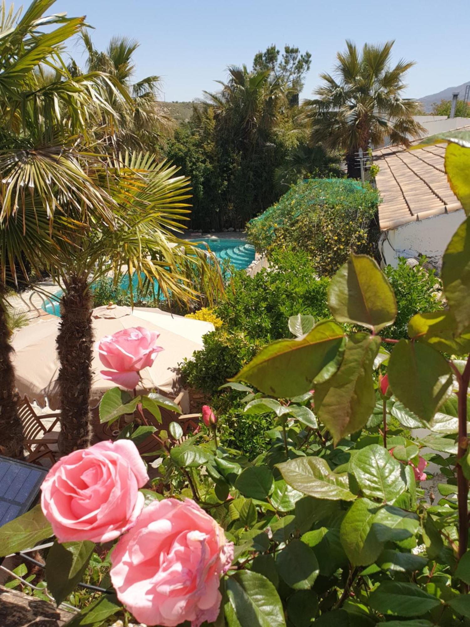 Cortijo Paraiso Charcon Higuera 외부 사진